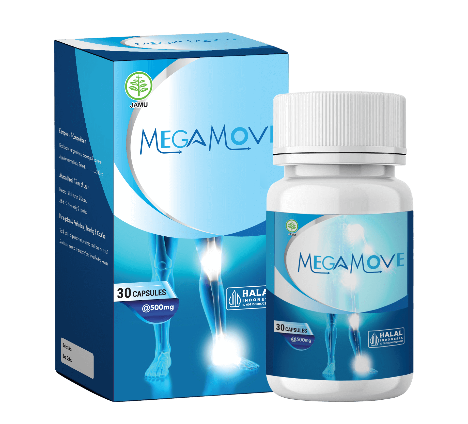 Megamove Joint Support Presentation
